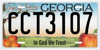 GA license plate CCT3107