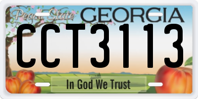 GA license plate CCT3113