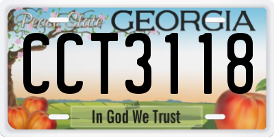 GA license plate CCT3118