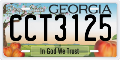 GA license plate CCT3125
