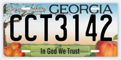 GA license plate CCT3142