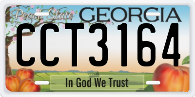 GA license plate CCT3164