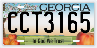 GA license plate CCT3165