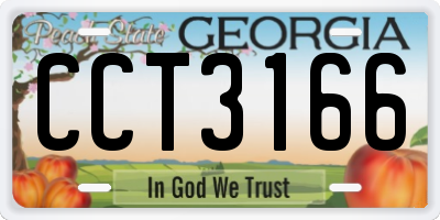 GA license plate CCT3166