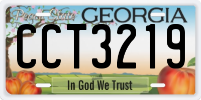 GA license plate CCT3219