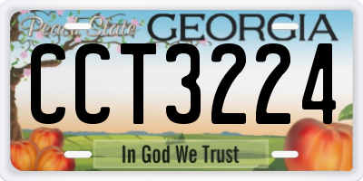 GA license plate CCT3224