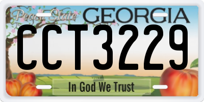 GA license plate CCT3229