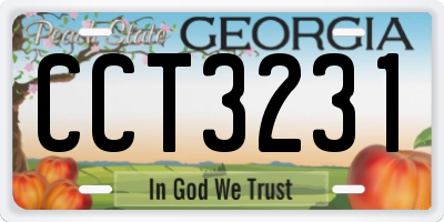 GA license plate CCT3231