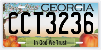 GA license plate CCT3236
