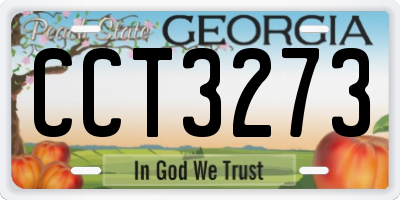 GA license plate CCT3273