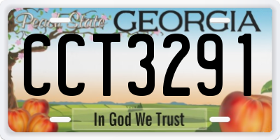 GA license plate CCT3291