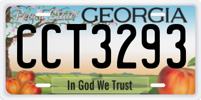 GA license plate CCT3293