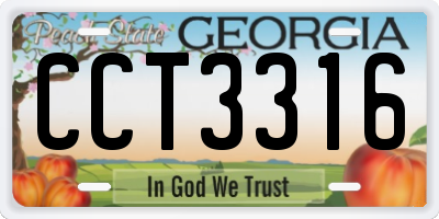 GA license plate CCT3316