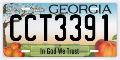 GA license plate CCT3391