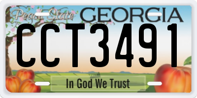GA license plate CCT3491