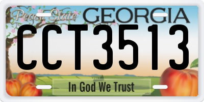 GA license plate CCT3513