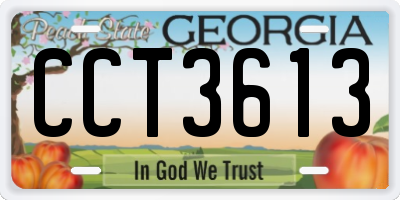 GA license plate CCT3613