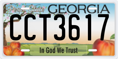 GA license plate CCT3617