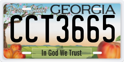 GA license plate CCT3665