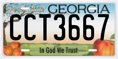 GA license plate CCT3667