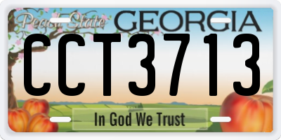 GA license plate CCT3713
