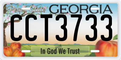 GA license plate CCT3733