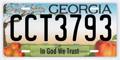 GA license plate CCT3793