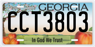 GA license plate CCT3803