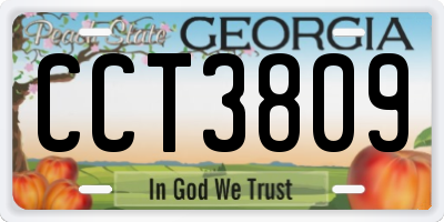 GA license plate CCT3809
