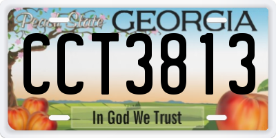 GA license plate CCT3813