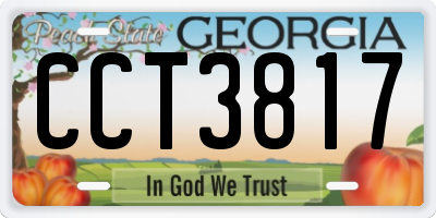 GA license plate CCT3817