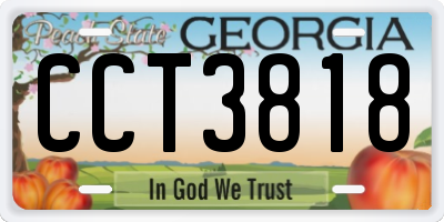 GA license plate CCT3818