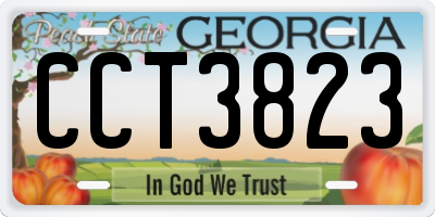 GA license plate CCT3823