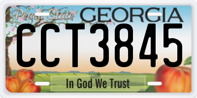 GA license plate CCT3845