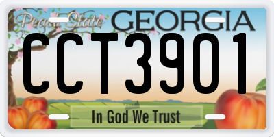 GA license plate CCT3901