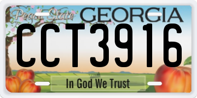GA license plate CCT3916