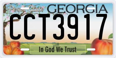 GA license plate CCT3917