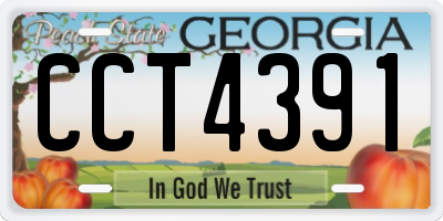GA license plate CCT4391