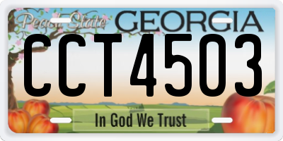 GA license plate CCT4503
