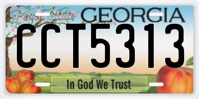 GA license plate CCT5313