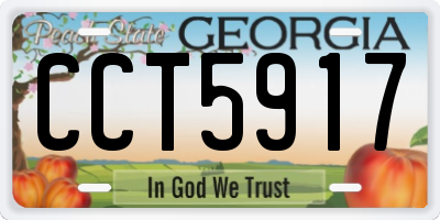 GA license plate CCT5917