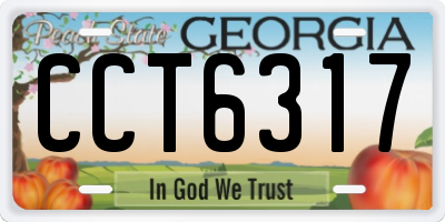 GA license plate CCT6317