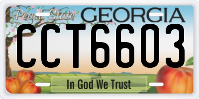 GA license plate CCT6603