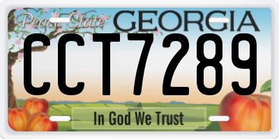 GA license plate CCT7289