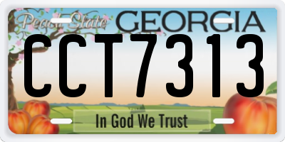 GA license plate CCT7313