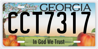 GA license plate CCT7317