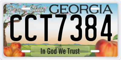 GA license plate CCT7384
