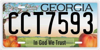 GA license plate CCT7593