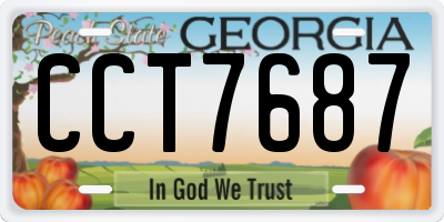 GA license plate CCT7687