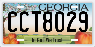 GA license plate CCT8029
